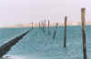 Baltrum vom Hafen.jpg (39689 Byte)